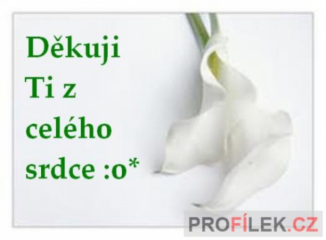 dekuji-ti-z-celeho-srdce